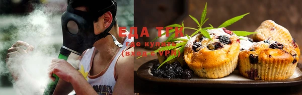 ПСИЛОЦИБИНОВЫЕ ГРИБЫ Горно-Алтайск