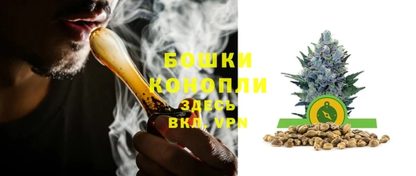 apvp Гусь-Хрустальный