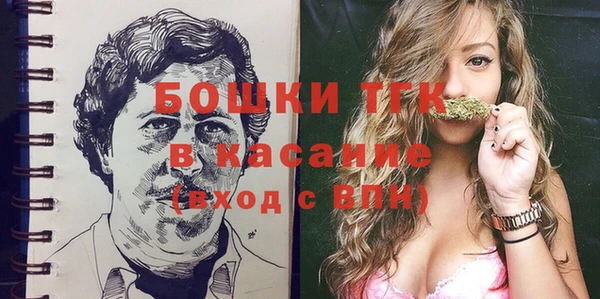 apvp Гусь-Хрустальный