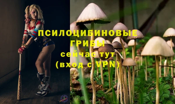 трава Гусев
