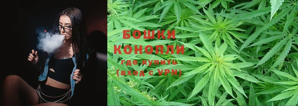 трава Гусев