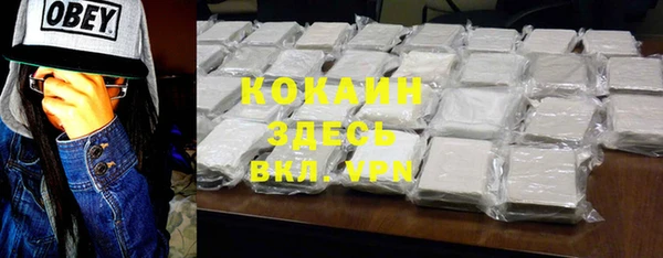 ПСИЛОЦИБИНОВЫЕ ГРИБЫ Горно-Алтайск