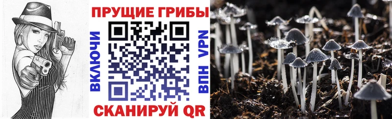 omg зеркало Кисловодск Псилоцибиновые грибы ЛСД как найти наркотики