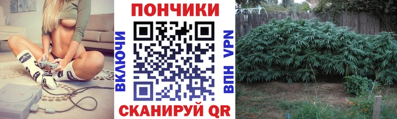 Каннабис план  Кисловодск 